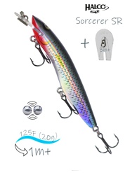 Sorcerer 125 SR-R25 - фото