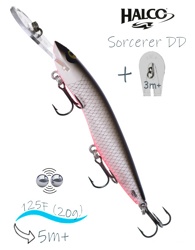 Sorcerer 125 DD-Russia 07 - фото