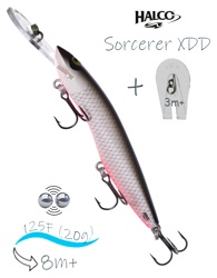 Sorcerer 125 XDD-Russia 07 - фото
