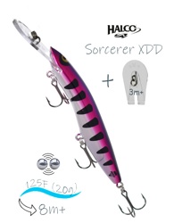 Sorcerer 125 XDD-R15 - фото
