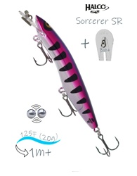 Sorcerer 125 SR-R15 - фото