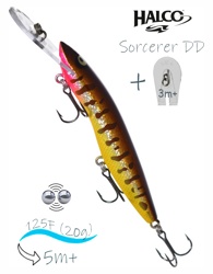 Sorcerer 125 DD-R31 - фото
