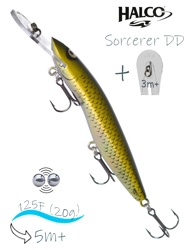 Sorcerer 125 DD-R32 - фото