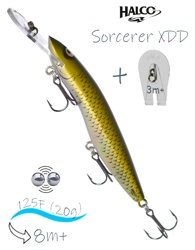 Sorcerer 125 XDD-R32 - фото