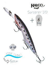 Sorcerer 125 DD-Russia 98 - фото
