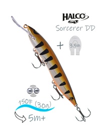 Sorcerer 150 DD-R06 - фото