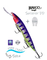 Sorcerer 150 DD-R24 - фото