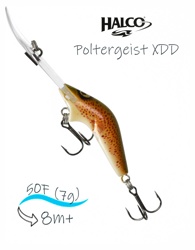 Poltergeist 50 XDD H59 - фото