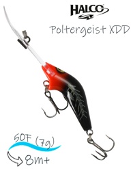 Poltergeist 50 XDD H65 - фото