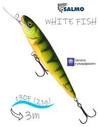 QWF003 WHITE FISH 13DR-Hot Perch - фото