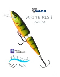 QWF015 WHITE FISH 13JR-Hot Perch - фото