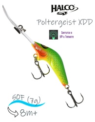 Poltergeist 50 XDD R07 (Glo) - фото