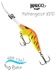 Poltergeist 50 XDD R08 - фото