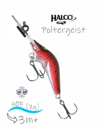 Poltergeist 50 H60 - фото
