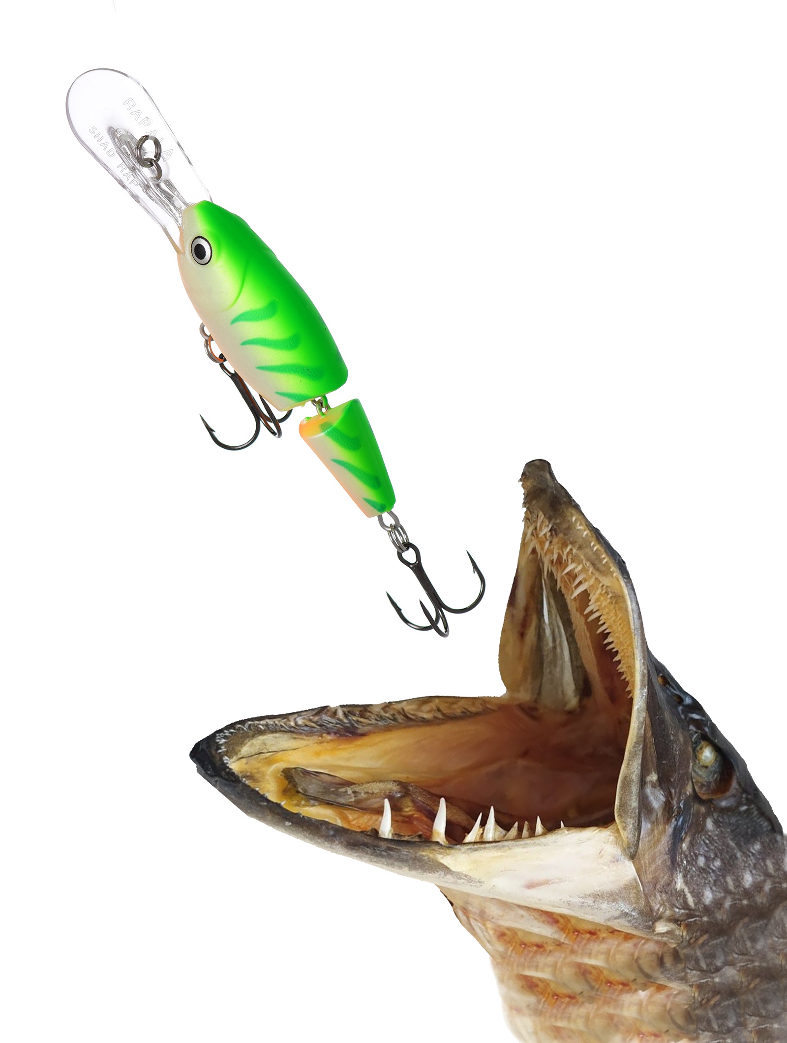 JSR05 GTU Jointed Shad Rap - фото2