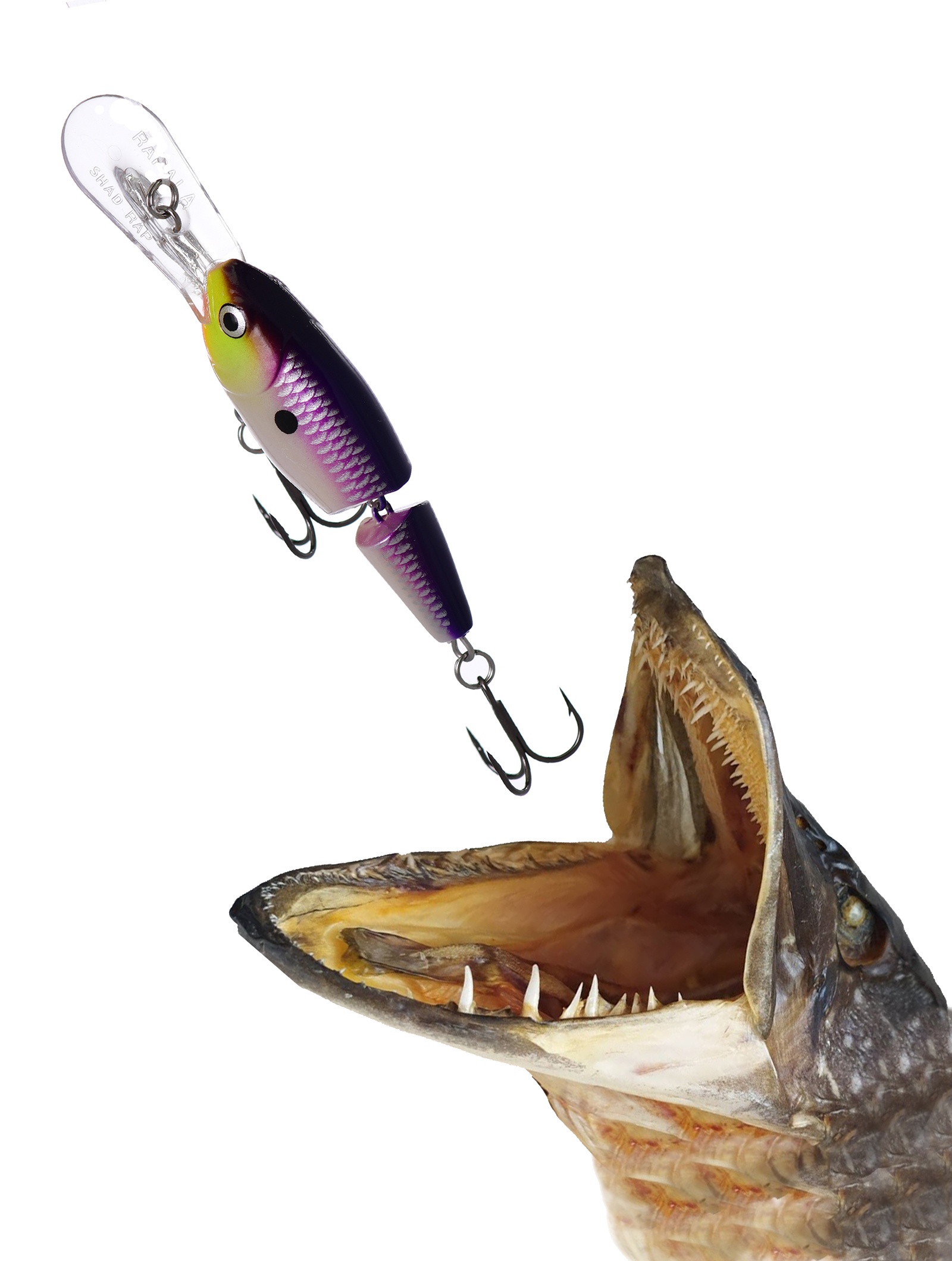 JSR05 PDS Jointed Shad Rap - фото2