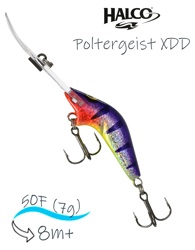 Poltergeist 50 XDD R24 - фото