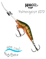 Poltergeist 50 XDD R26 - фото
