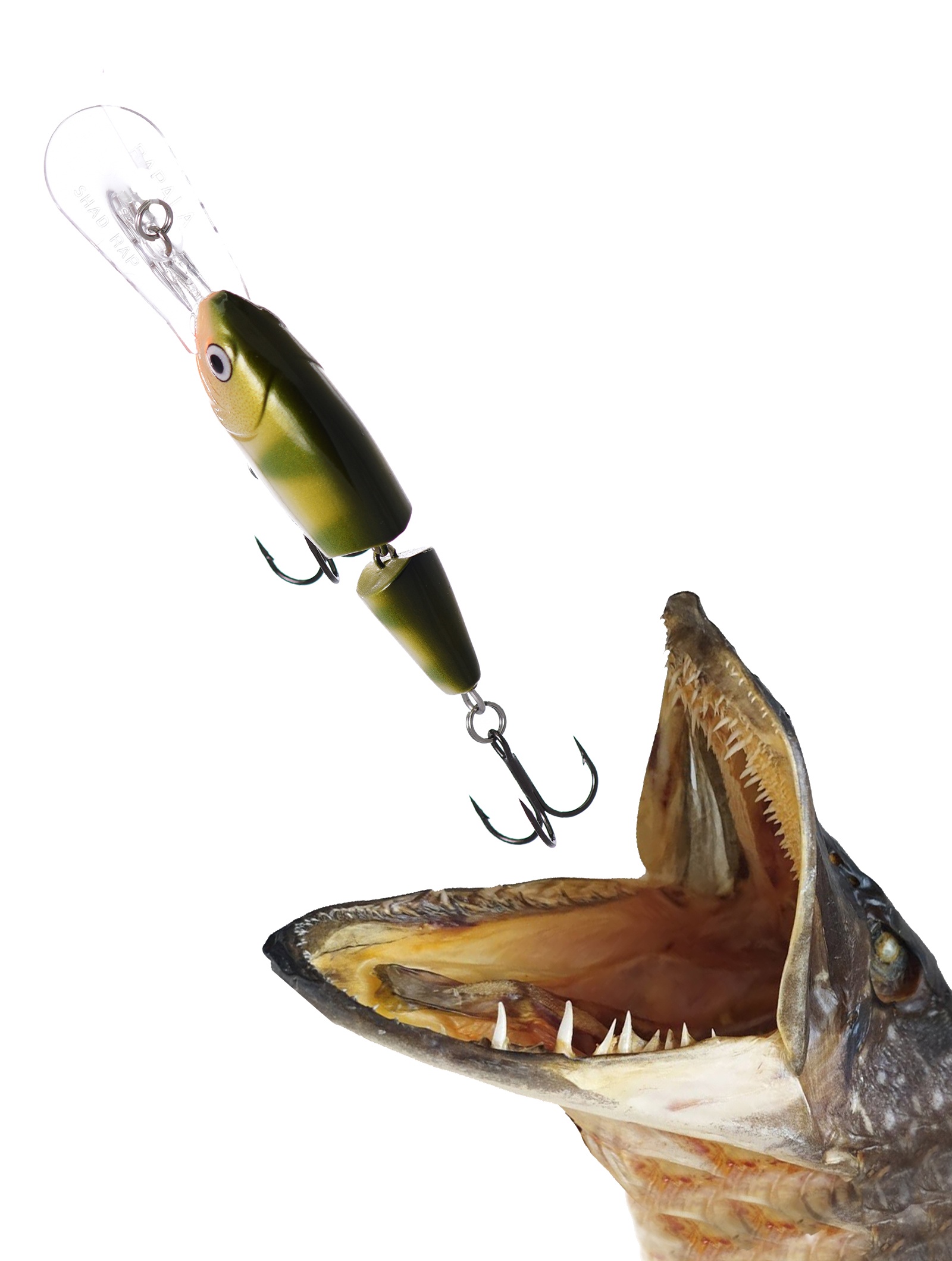 JSR04 YP Jointed Shad Rap - фото2
