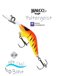 Poltergeist 50 R08 - фото
