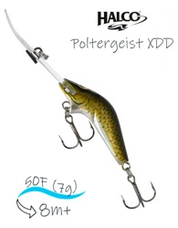 Poltergeist 50 XDD R32 - фото