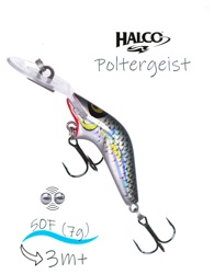 Poltergeist 50 R25 - фото