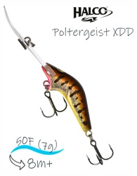 Poltergeist 50 XDD R31 - фото