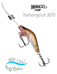 Poltergeist 50 XDD R33 - фото