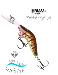 Poltergeist 50 R31 - фото