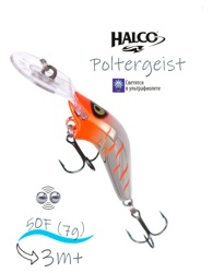 Poltergeist 50 RUS4 - фото