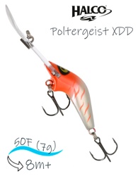 Poltergeist 50 XDD Rus04 - фото