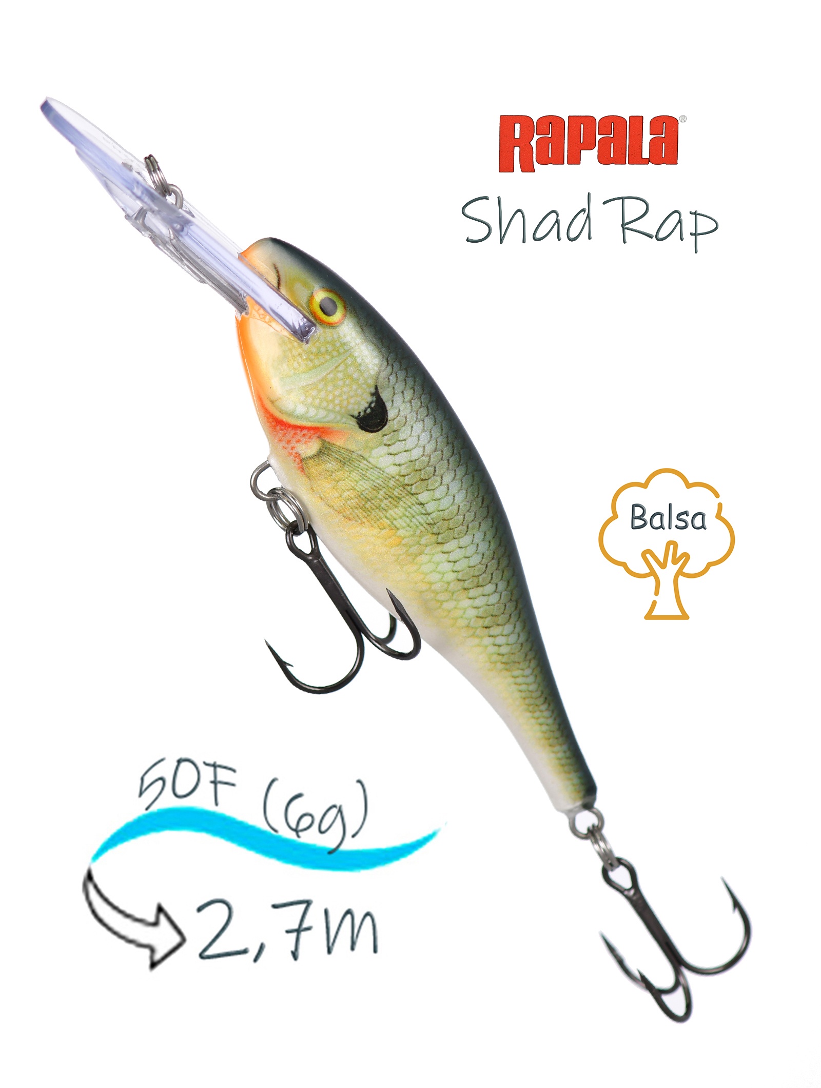 SR05 BG Shad Rap - фото