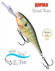 SR05 BG Shad Rap - фото