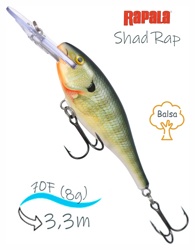 SR07 BG Shad Rap - фото