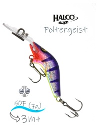 Poltergeist 50 R24 - фото