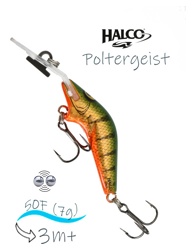 Poltergeist 50 R26 - фото