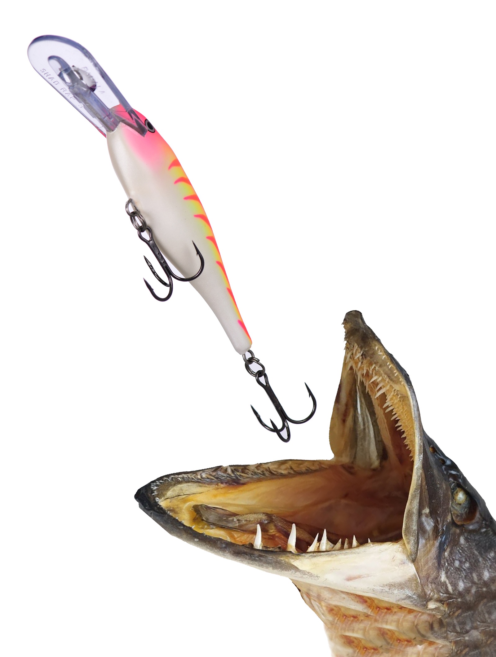 SR09 PTU Shad Rap - фото2