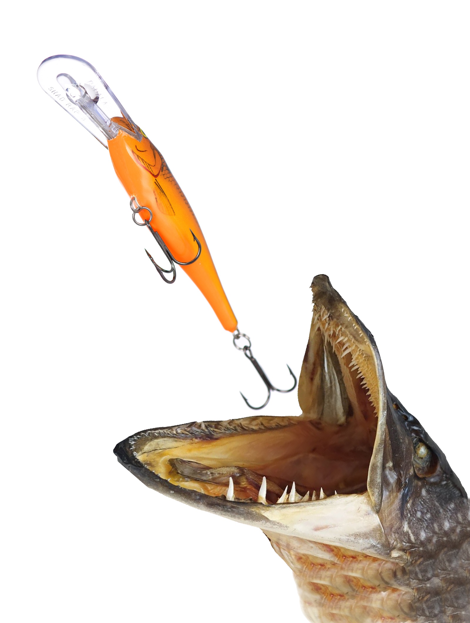 SR05 CW Shad Rap - фото2
