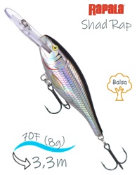 SR07 HSH Shad Rap - фото