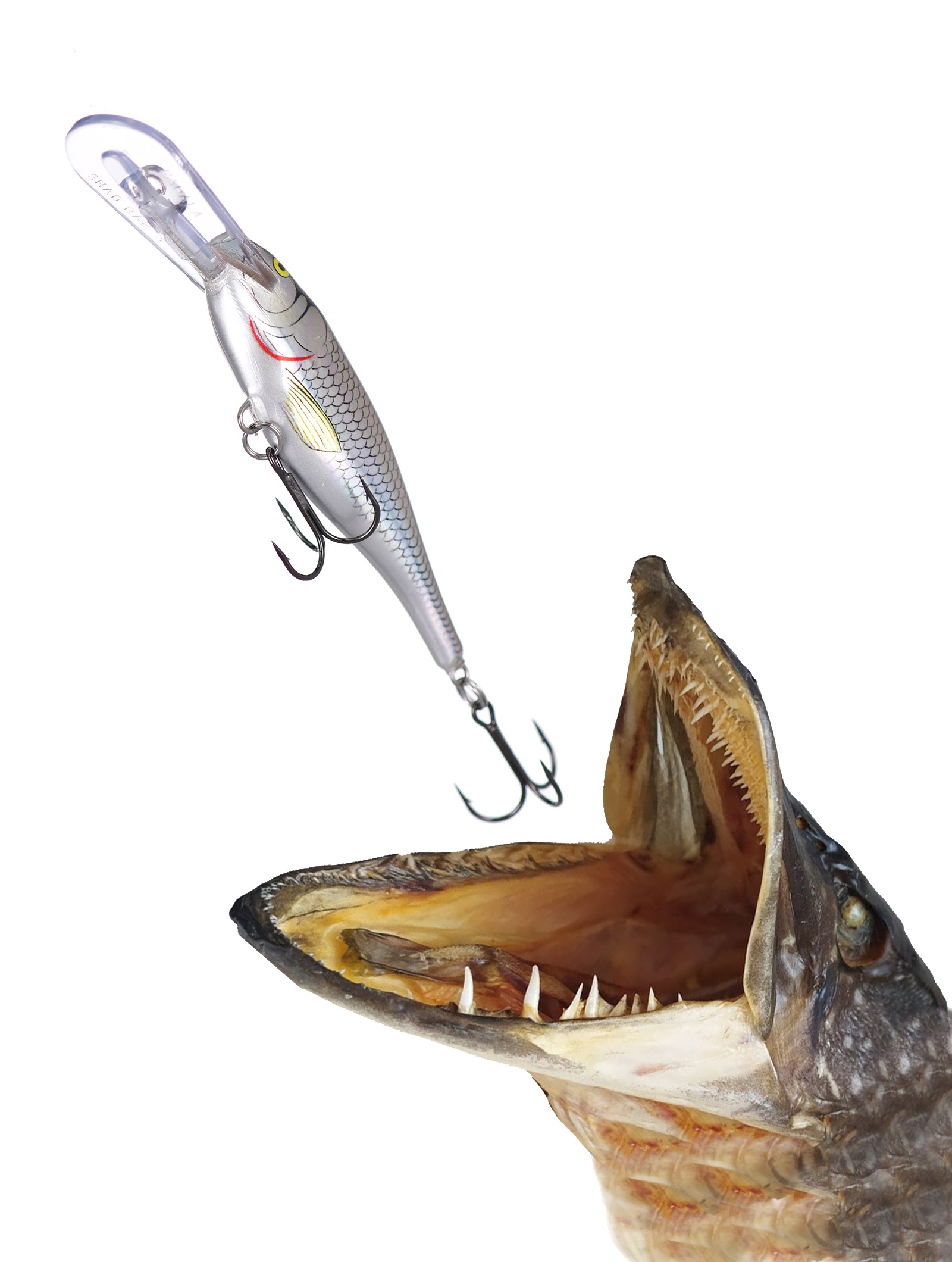 SR09 HSH Shad Rap - фото2