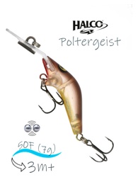 Poltergeist 50 R36 - фото