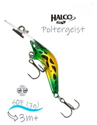 Poltergeist 50 H66 - фото