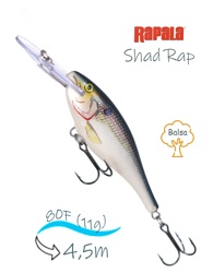 SR08 SD Shad Rap - фото