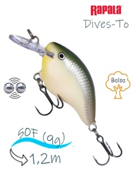 DT04 BBH Dives-To - фото