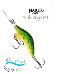 Poltergeist 80 H52 - фото