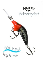 Poltergeist 80 H65 - фото