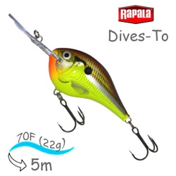 DT16 HM Dives-To - фото