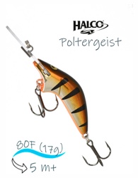 Poltergeist 80 R06 - фото