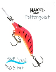 Poltergeist 80 R01 - фото