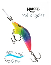 Poltergeist 80 R03 - фото